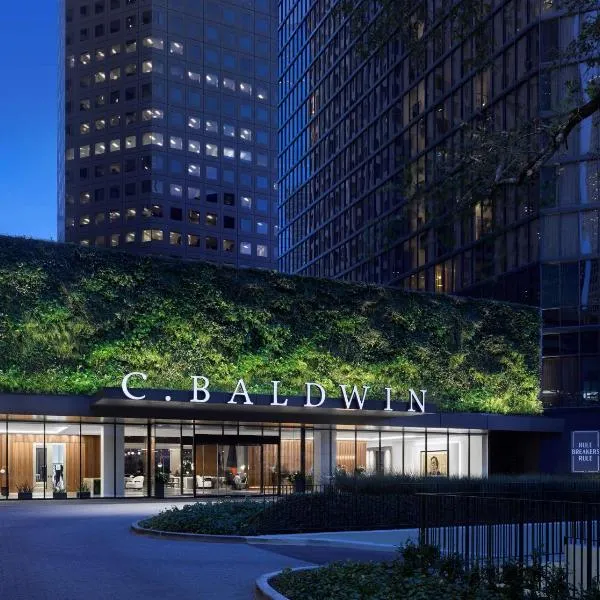 C. Baldwin, Curio Collection by Hilton